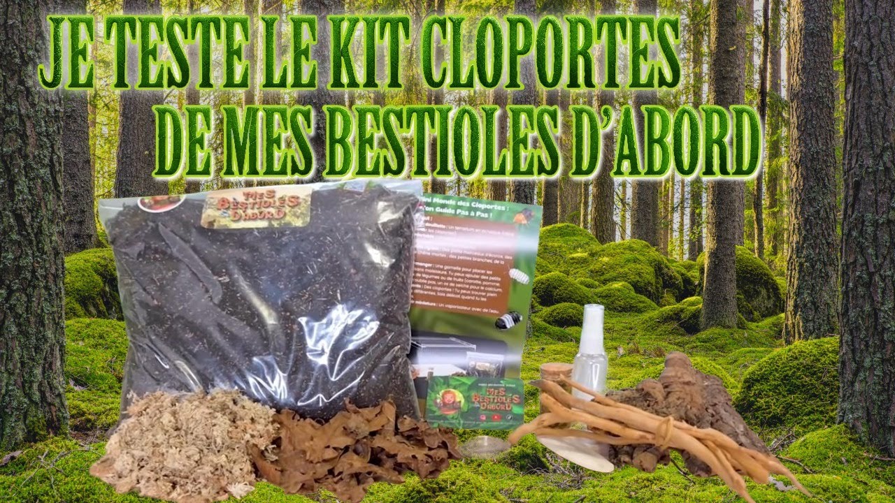 Mes Bestioles d'Abord LE KIT DES CLOPORTE BIEN OU PAS !