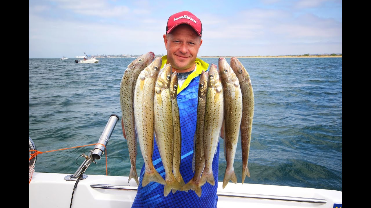 Queenscliff Whiting Fishing