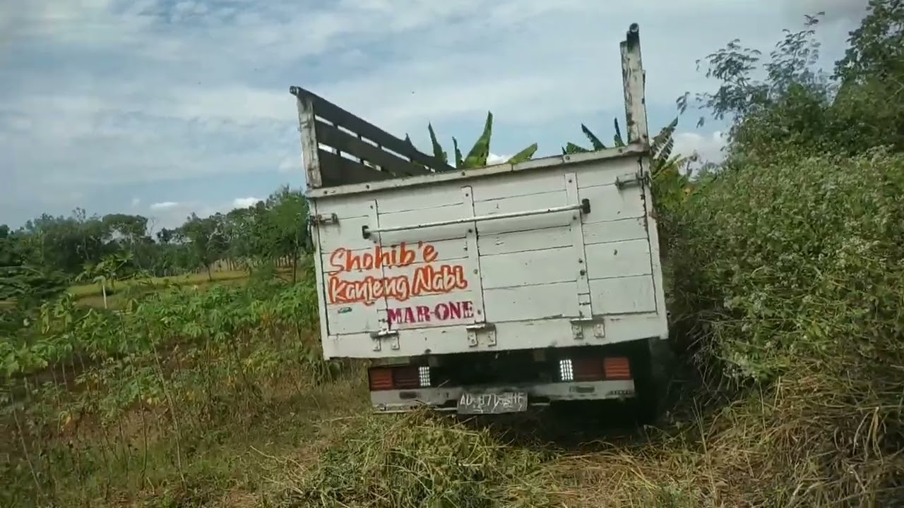 Penebang handal dan muat tebu ke dalam bak truk PART 2