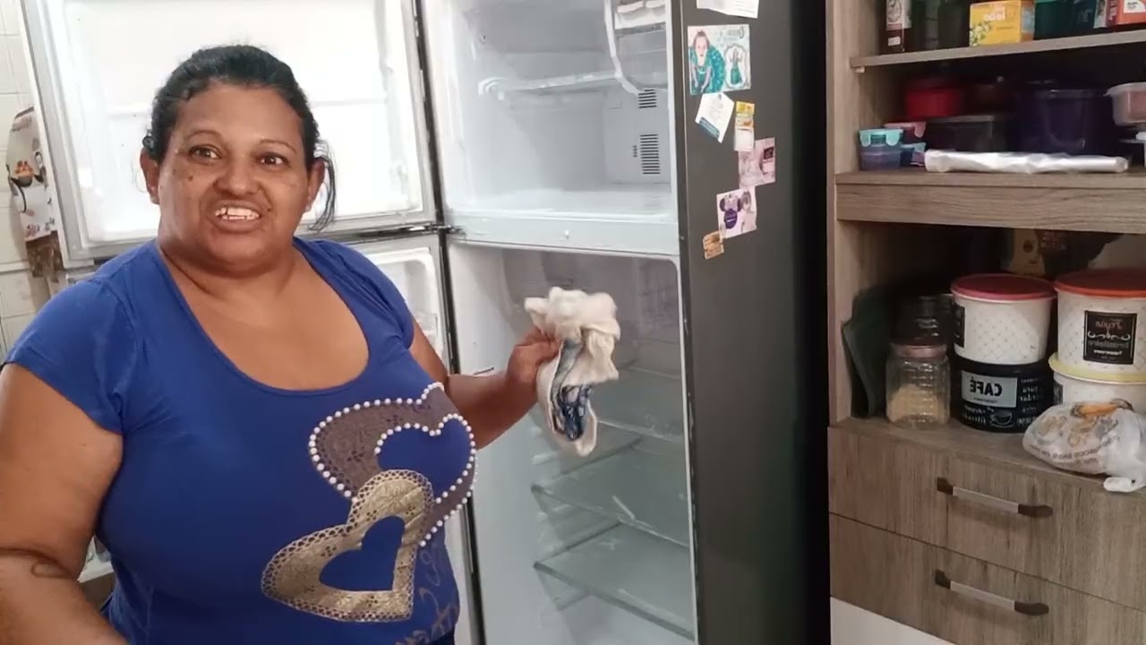 GELADEIRA LIMPA BRILHANDO E SEM ODOR 