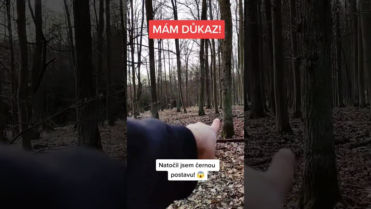 Čern&aacute; postava! M&aacute;m důkaz