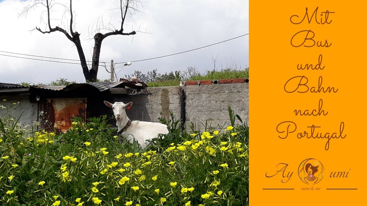 Unsere erste Reise nach Portugal mit Bus und Bahn
