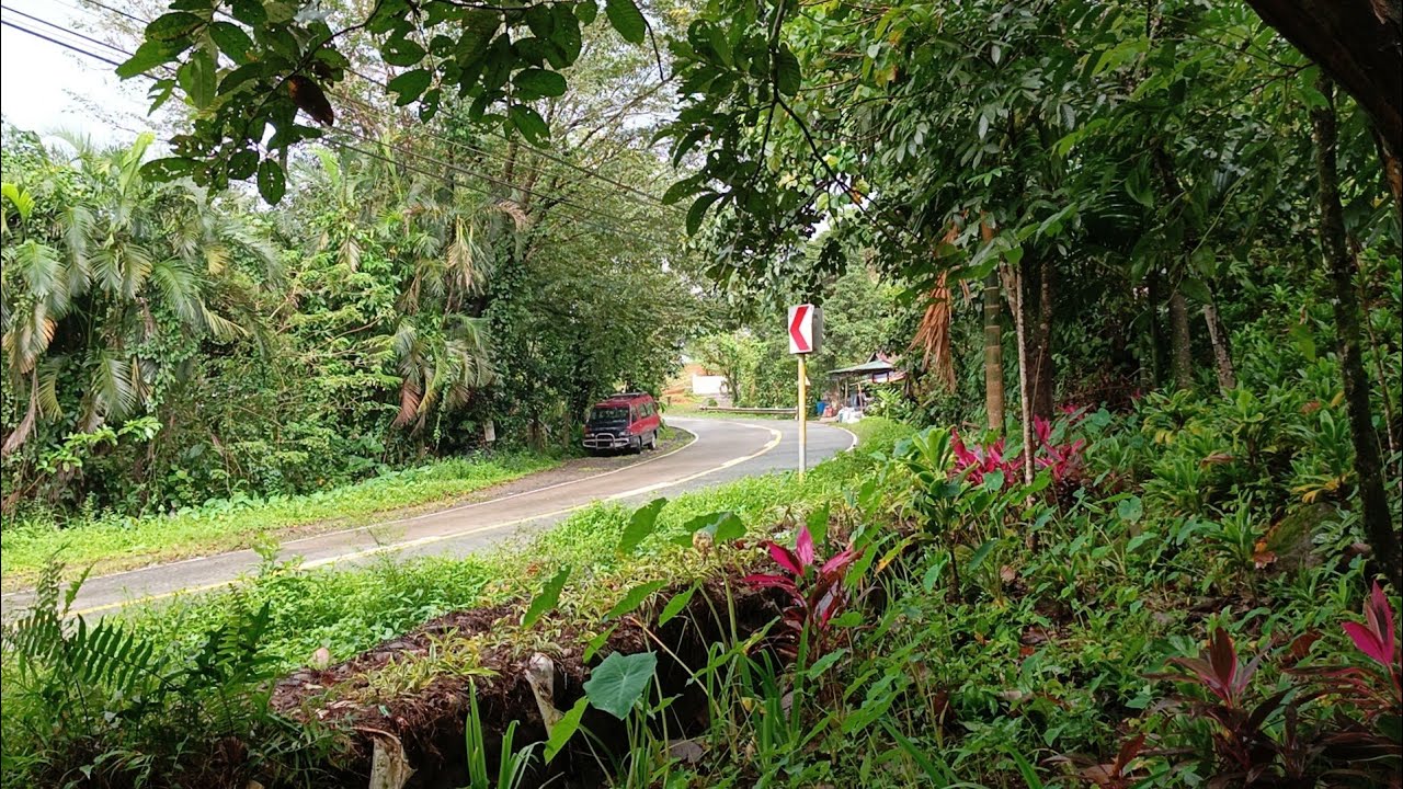 (P# 899) 2.6 hectares Farm lot  na tabing highway at may bukal sa Siniloan, Laguna for sale 285/sqm 