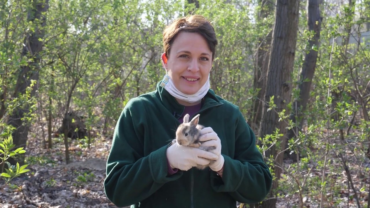 Nyíregyházi Állatpark Zoo TV - 7. rész
