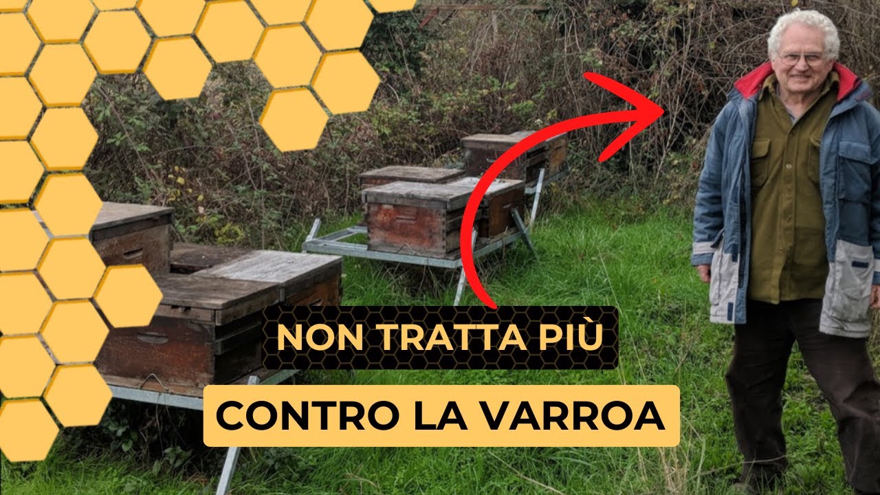 John Khefuss: Il Ricercatore-Apicoltore che ha Sconfitto la Varroa SENZA TRATTAMENTI!