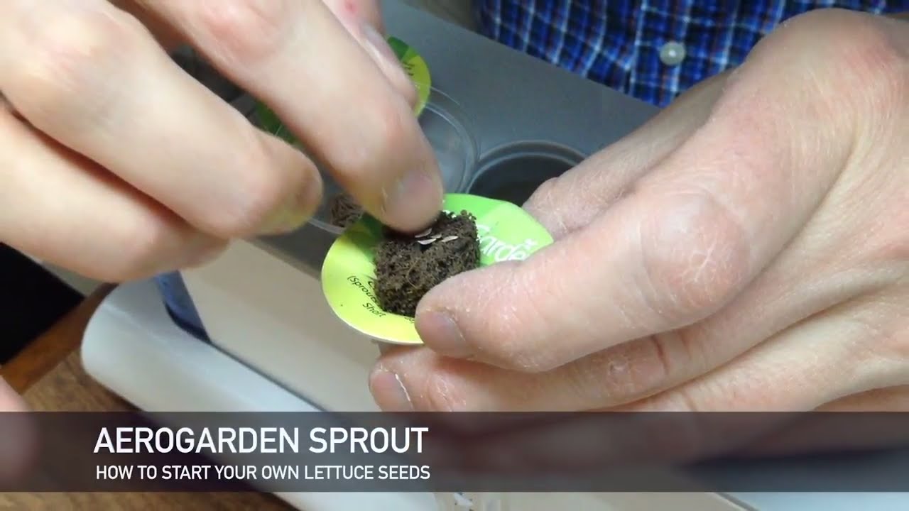 AeroGarden DIY - How to start your own lettuce seeds