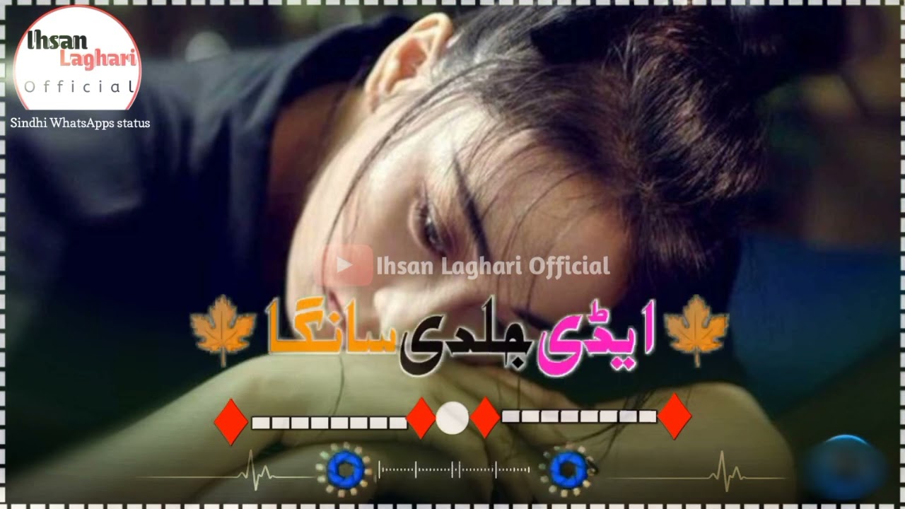 Tusan Badshah ho asan hain New siraiki status