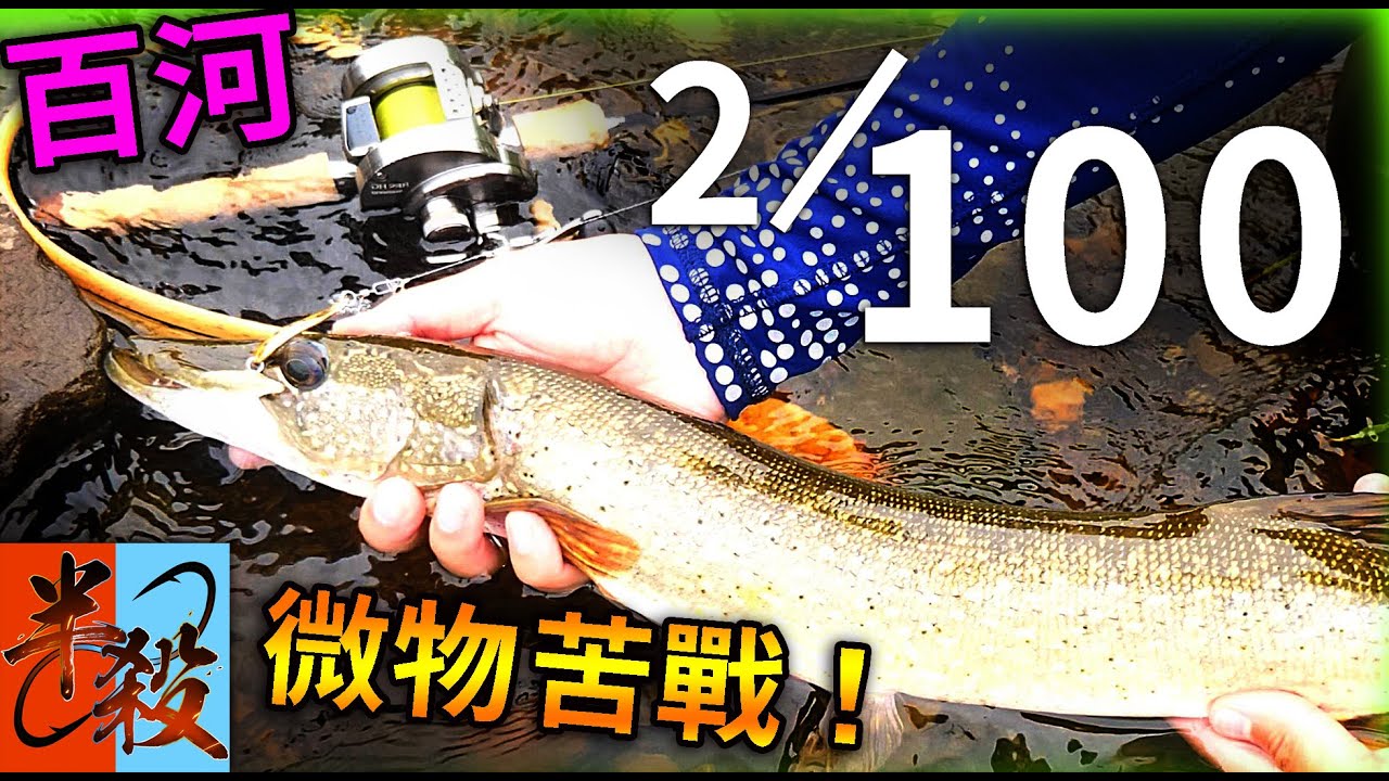 【100】奇妙的路亞之旅繼續!! 最後遇到惡“狗”微物小亮片能否生還!？（百河 Ep.2）#半殺 #路亞 #釣魚