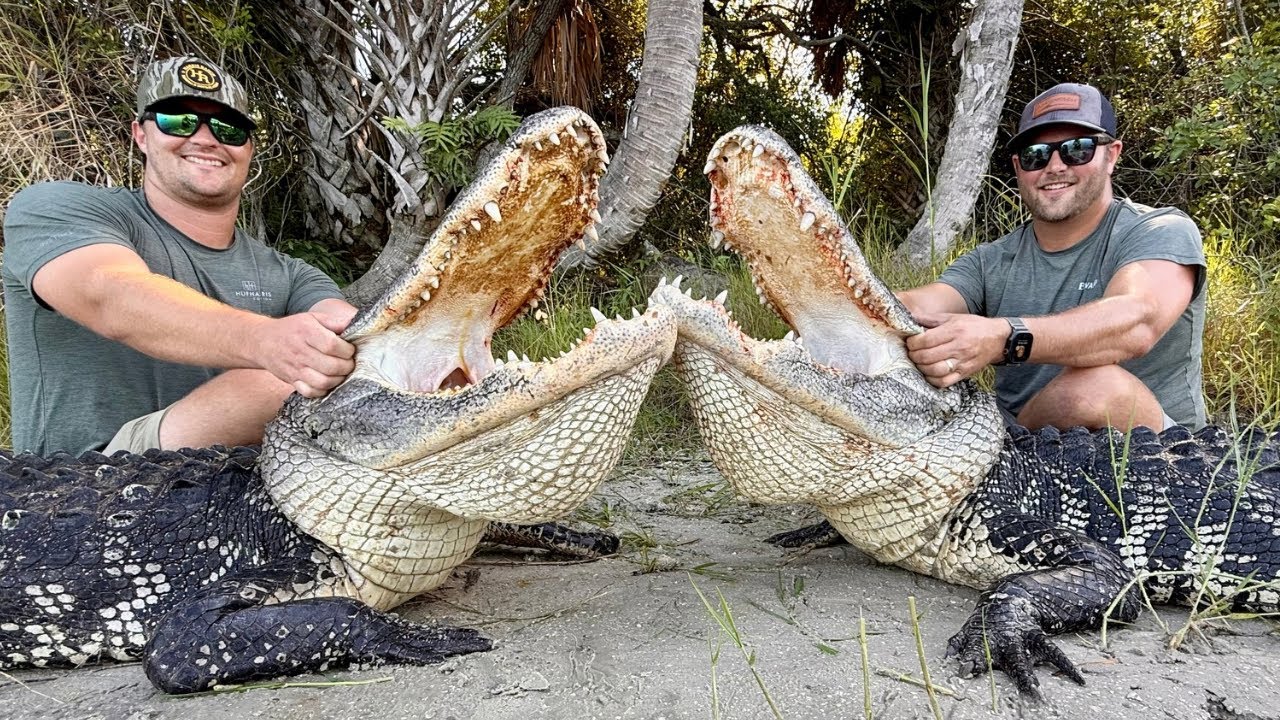 PUBLIC LAND ALLIGATOR HUNT! (2025 Opening Day)