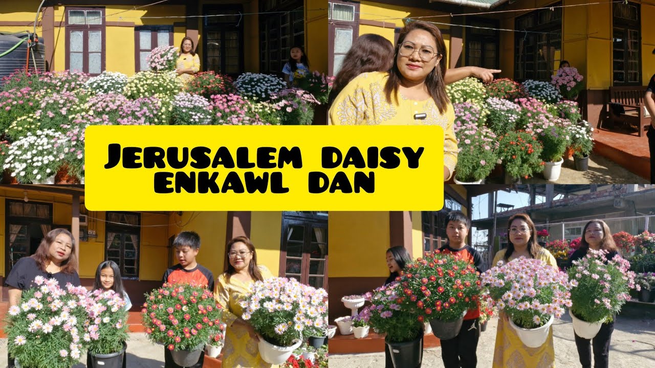 Saron,Jerusalem daisy.Pangpar huan mawi em em fanna part 2. Pangpar Pot lei sawngbawldan kimchang