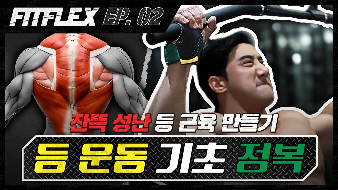 [핏플렉스 X 프로팁] EP.02 등의 정석 기초편!ㅣ게스트 황철순 프로