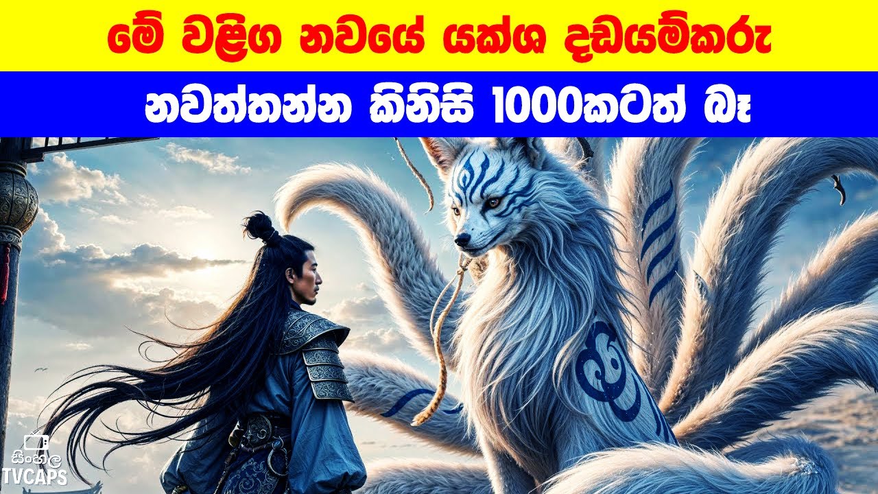 මේ වළිග නවයේ යක්ශ දඩයම් කරු නවත්තන්න කිනිසි 1000කටත් බෑ