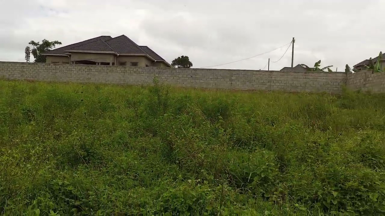 LAND for sale in Kira 12 decimal price 55million Ugx in the best neighborhoods info +256759707938