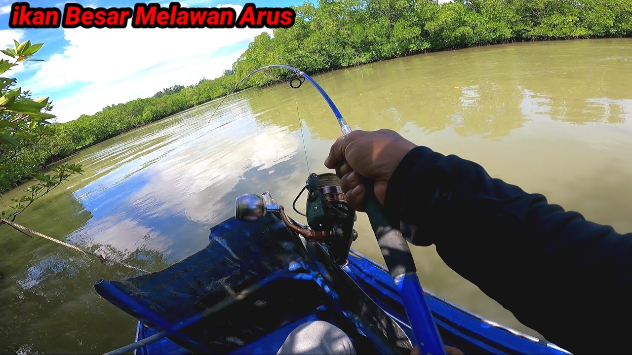 Semua Pemancing Pasti Akan Panik Kalau Dapat Tarikan Sperti ini, ikan Besar Sangat Kuat