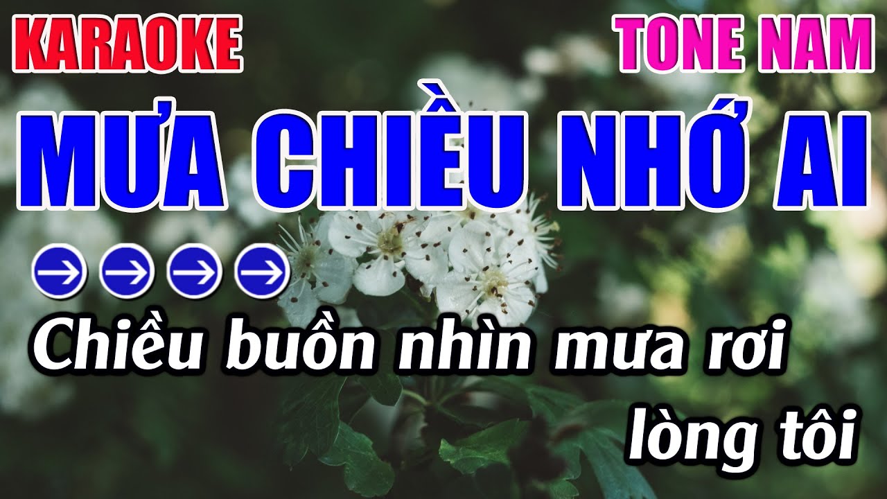 Mưa Chiều Nhớ Ai Karaoke Tone Nam Karaoke 9999 - Beat Mới