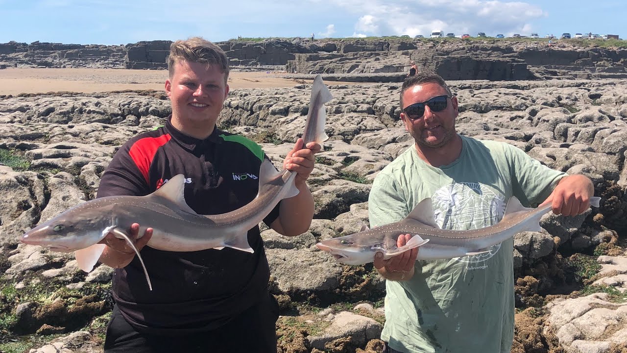 Newton point chucking up more PB^s