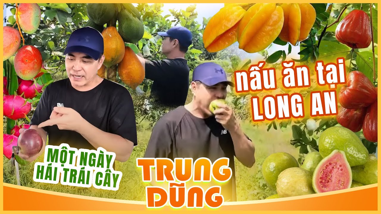 Trung Dũng | Một Ngày Hái Trái Cây Và Nấu Ăn Tại Long An Quá Tuyệt Vời !