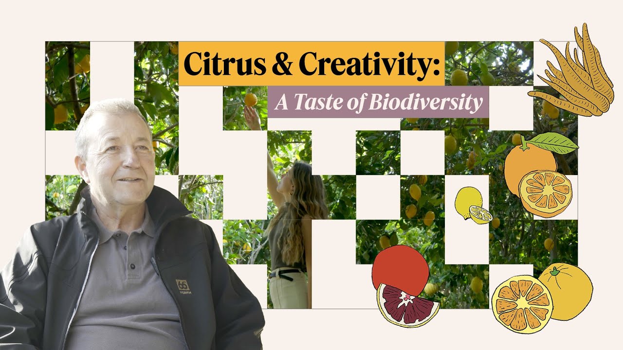 A Hidden Citrus Garden That Holds a Powerful Message About Nature
