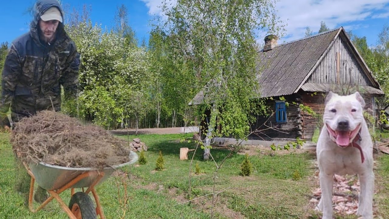 Хутор на Краю Леса. Моя жизнь на заброшенном Хуторе.
