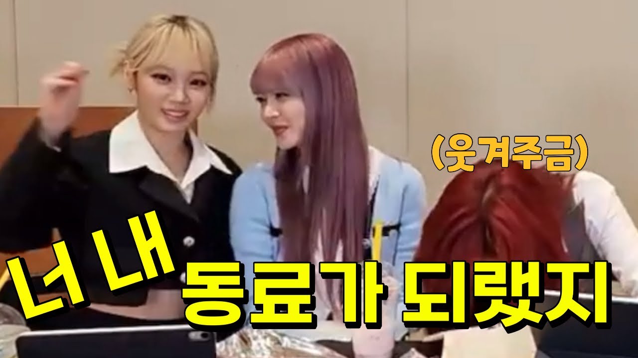 [LESSERAFIM•chae] 르세라핌 컴퍼니에서 쿠폰을 받고 생긴 일