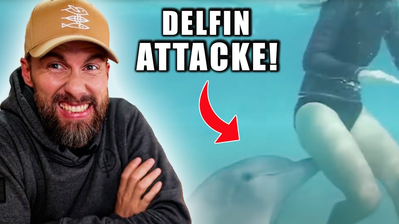 NOTGEILER DELFIN ATTACKIERT 50 MENSCHEN?! Robert Marc Lehmann reagiert auf Delfin Attacken