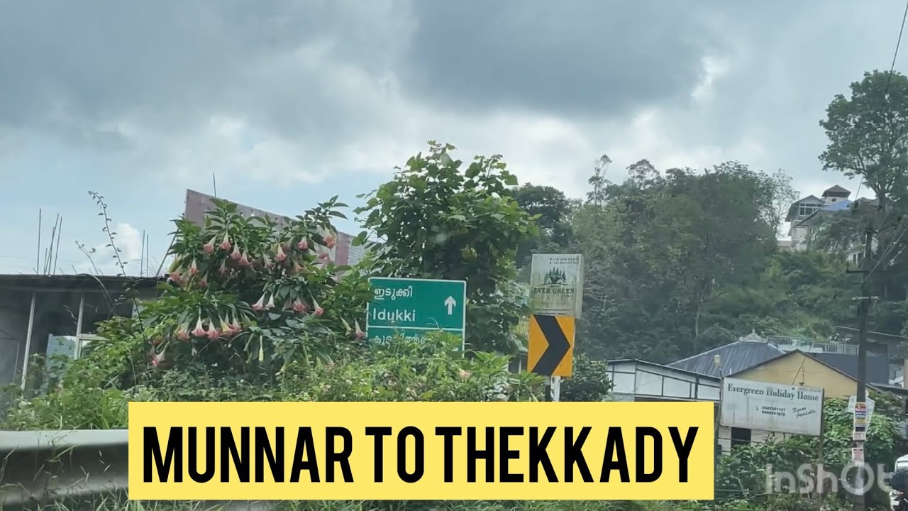 MUNNAR TO THEKKADY ROAD TRIP