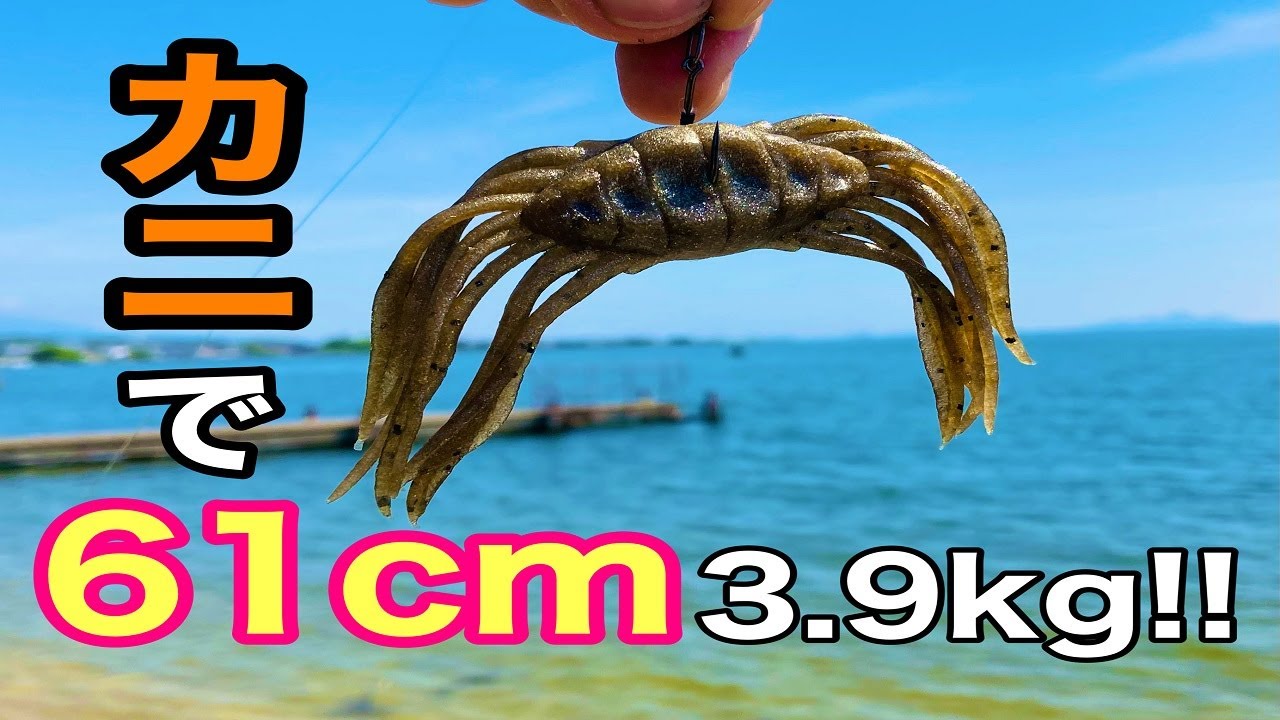 ロクマルもダマされる...ドリフトクラブがちょっとヤバい【琵琶湖バス釣り】