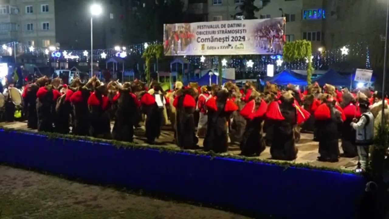 Ursii din Zavoi la Festivalul din Comanesti 2024