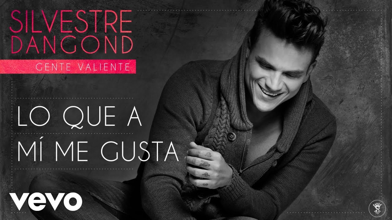 Silvestre Dangond - Lo Que a Mí Me Gusta (Audio)