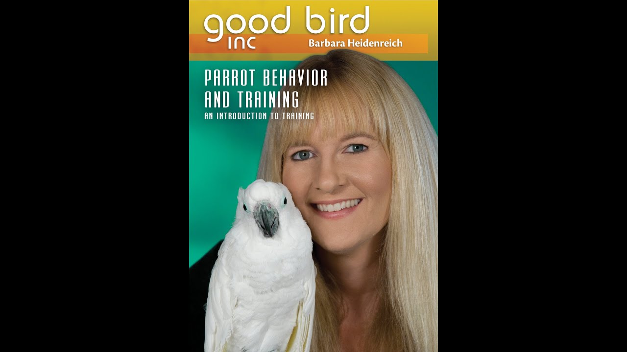 Parrot Behavior and Training DVD by Barbara Heidenreich: Trailer
