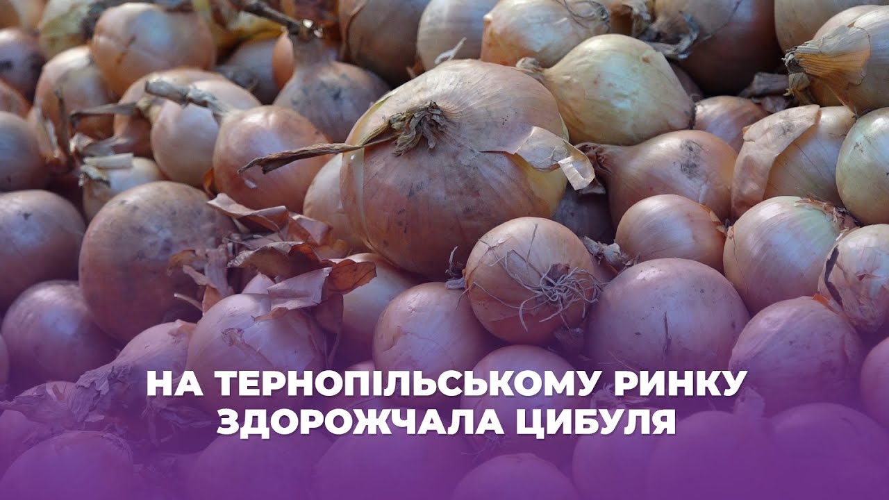 На тернопільському ринку здорожчала цибуля