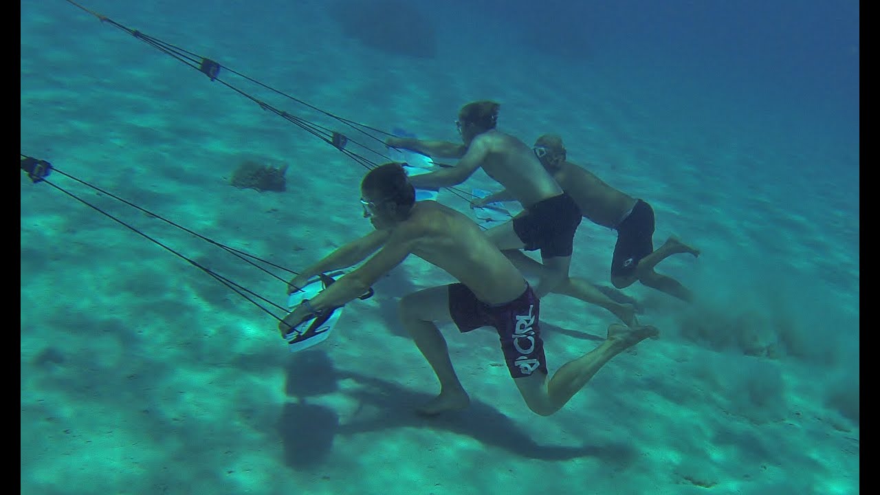 Underwater Flight - Introducing the Subwing Honeycomb