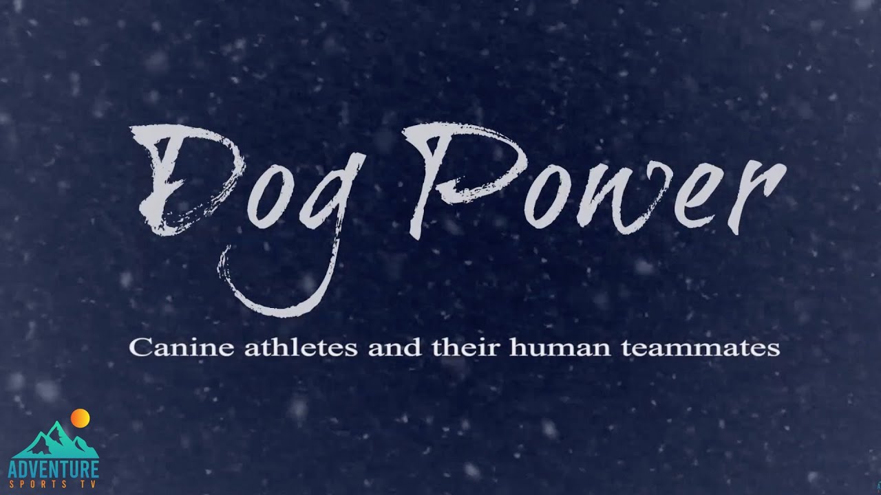 Dog Power: ездовые собаки, адаптивные спортсмены и зимние приключения