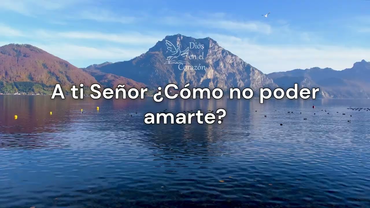 Nuevo en ti