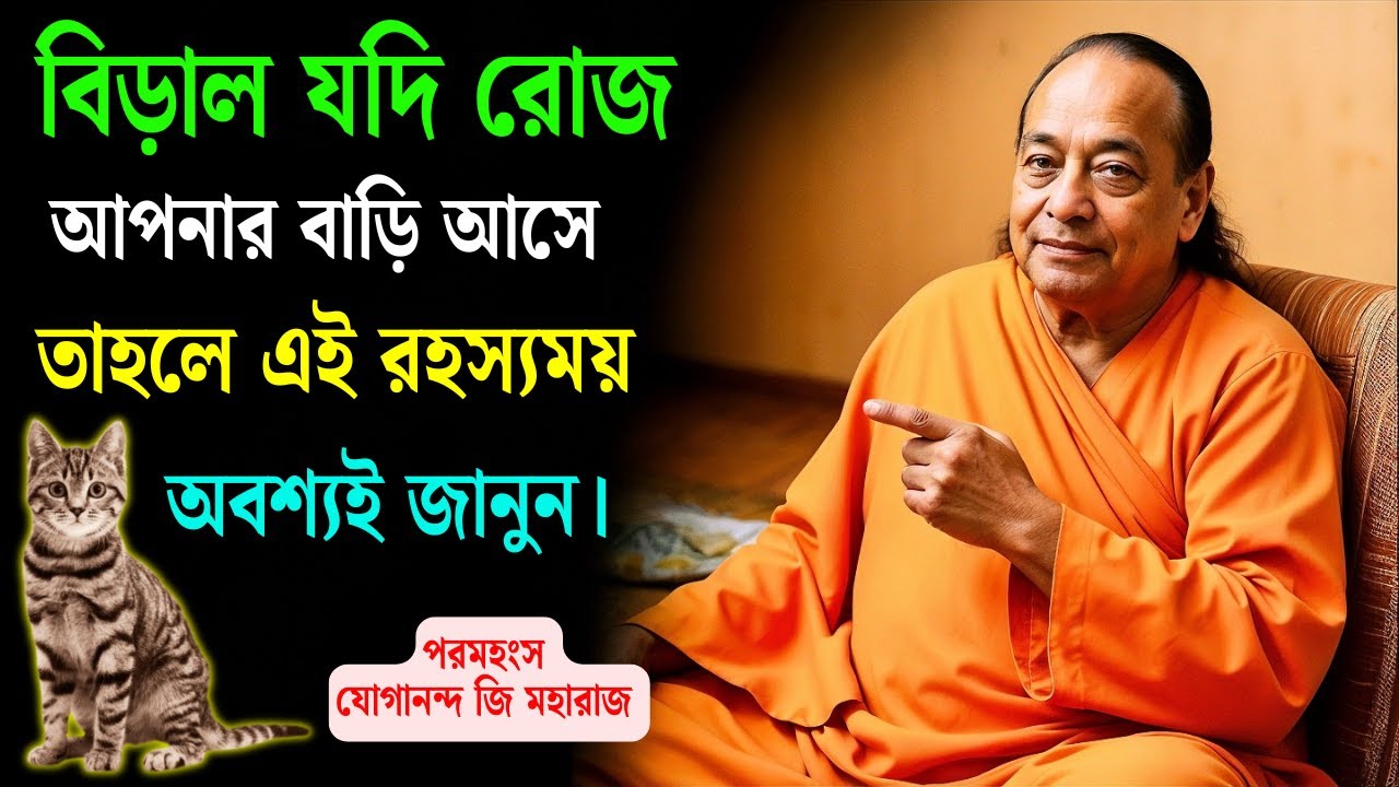 বিড়াল যদি প্রতিদিন আপনার বাড়িতে আসে, তবে এই রহস্যময় সংকেত অবশ্যই জেনে নিন | পরমহংস যোগানন্দ |