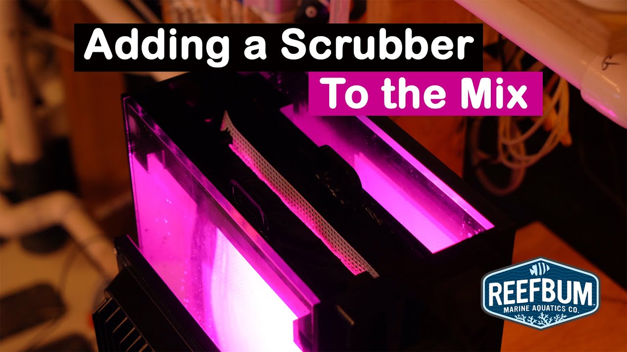 Adding an Algae Scrubber to The Mix