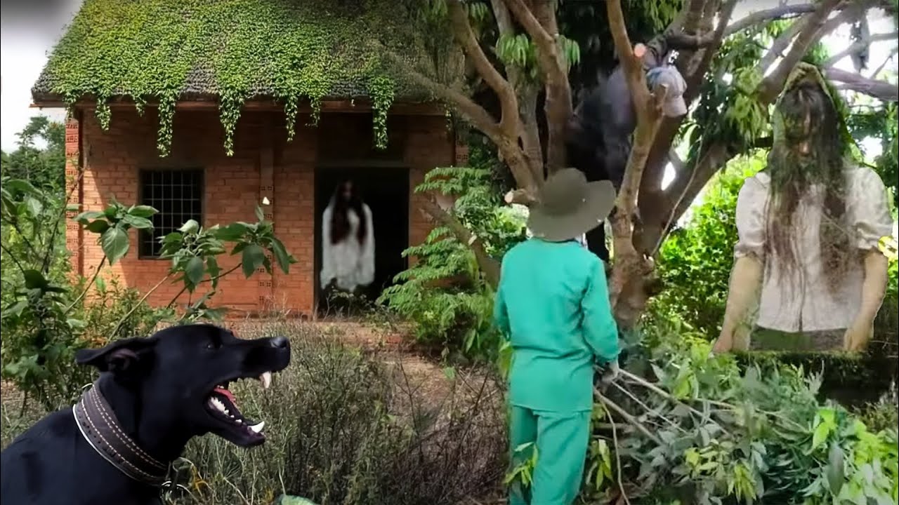 Abandoned House for Decades Hides Deadly Secret - Who Is the Girl Hanging Under the Tree? Clean Up