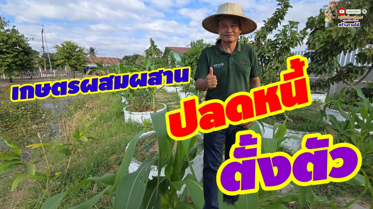 ชาวนาอัจฉริยะปลดหนี้ตั้งตัวด้วยเกษตรอินทรีย์ผสมผสาน