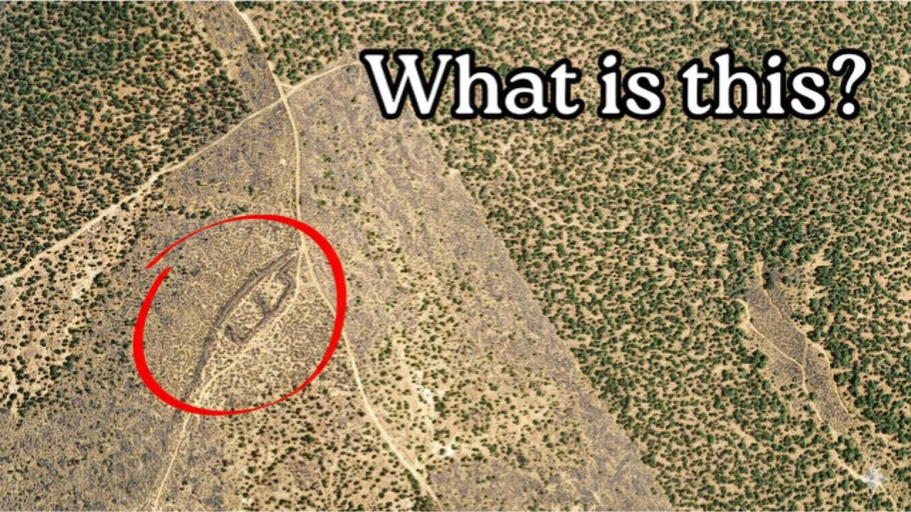 I Spotted a Giant 