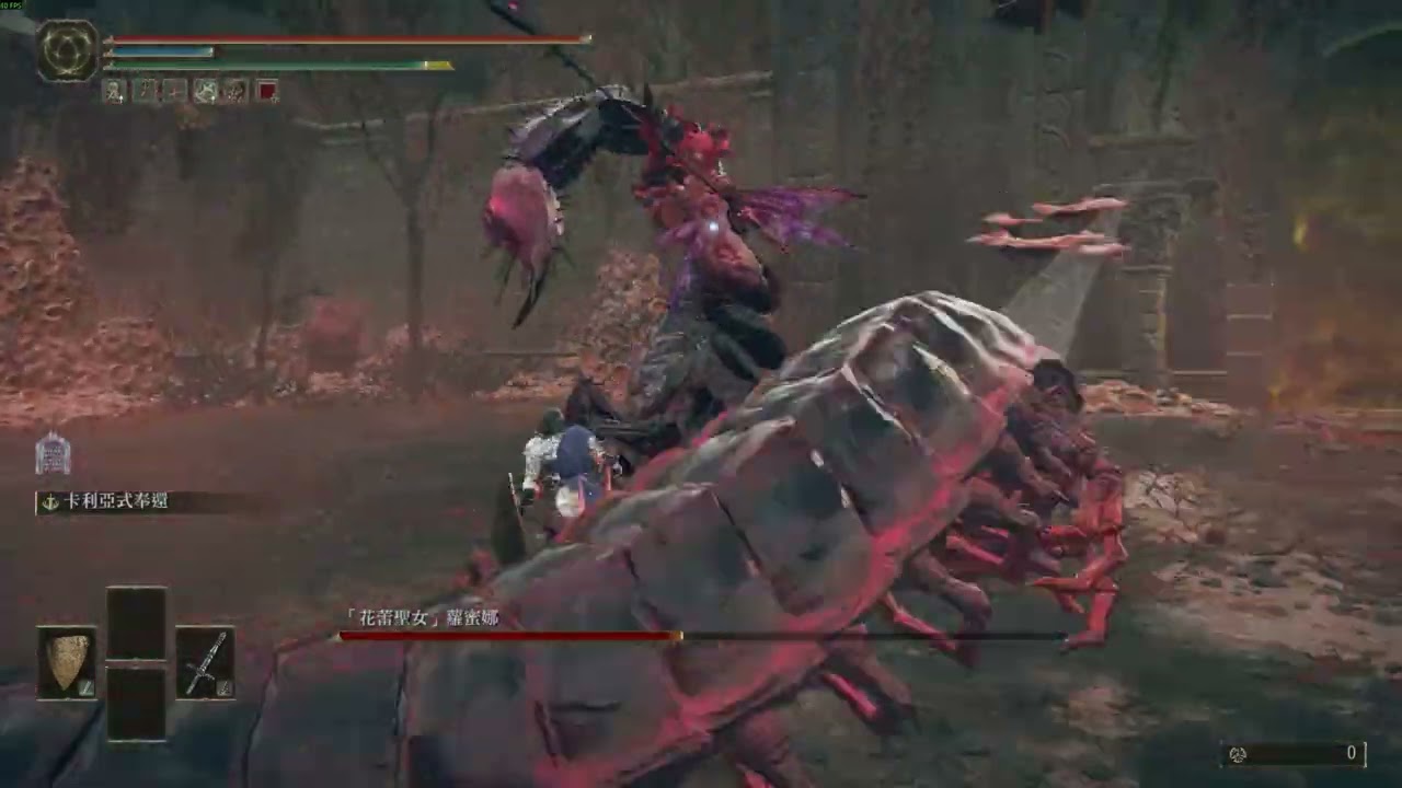 艾爾登法環 純盾反 花蕾聖女 蘿蜜娜 一週目 不喝水 150等 無骨灰 DLC 黃金樹幽影