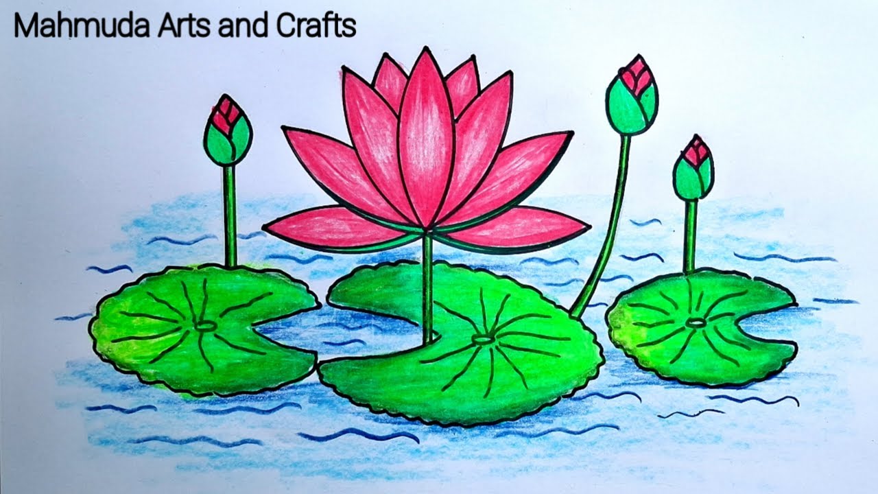 How to draw a Water lily step by step for beginners / Waterlily drawing / Shapla ful drawing