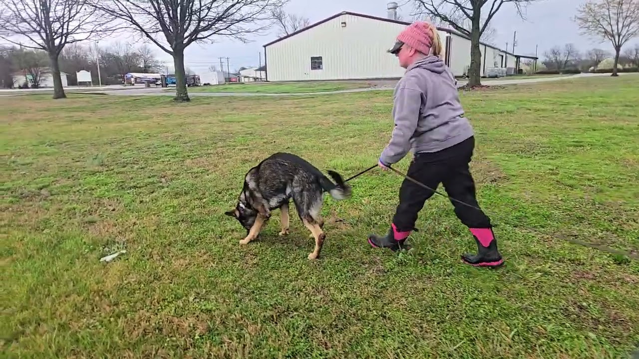 Pup track 030726