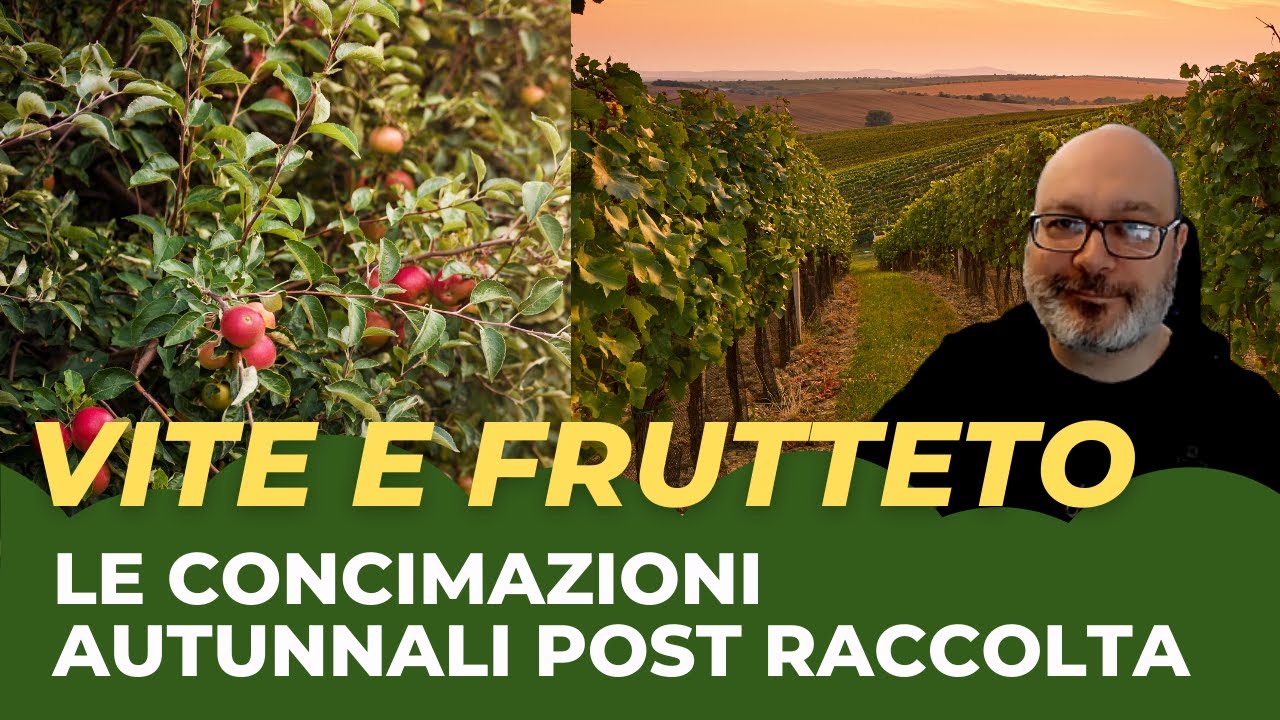 Concimazioni autunnali per vigneto e frutteto: Esiste il post raccolta perfetto?