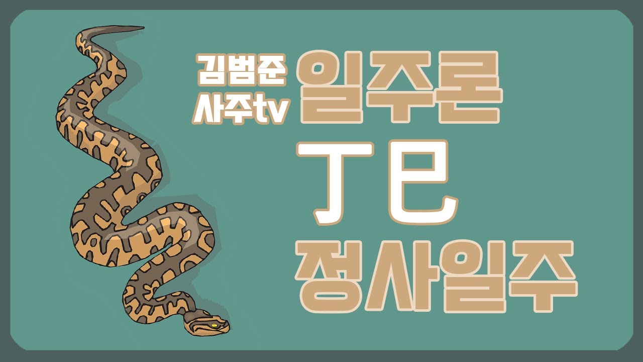 [일주론] 丁巳(정사)일주 사주분석 !
