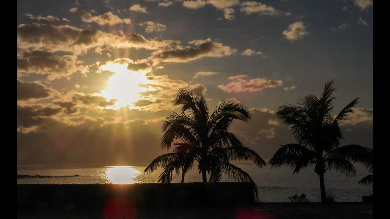 Imágenes del Puerto de la Cruz durante la cuarentena - 3 de abril de 2020