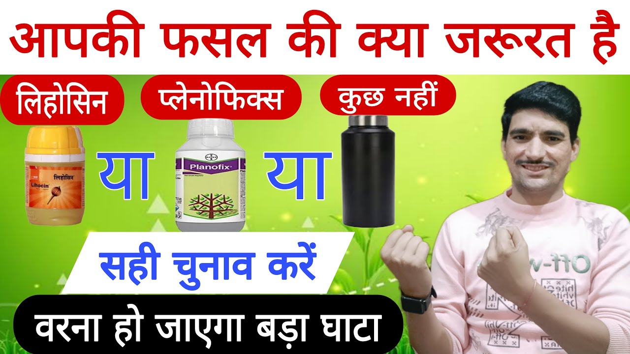 pgr आपके लिए कौन सा उपयोगी | सही समय पर सही का उपयोग करें । planofix or lihocin|