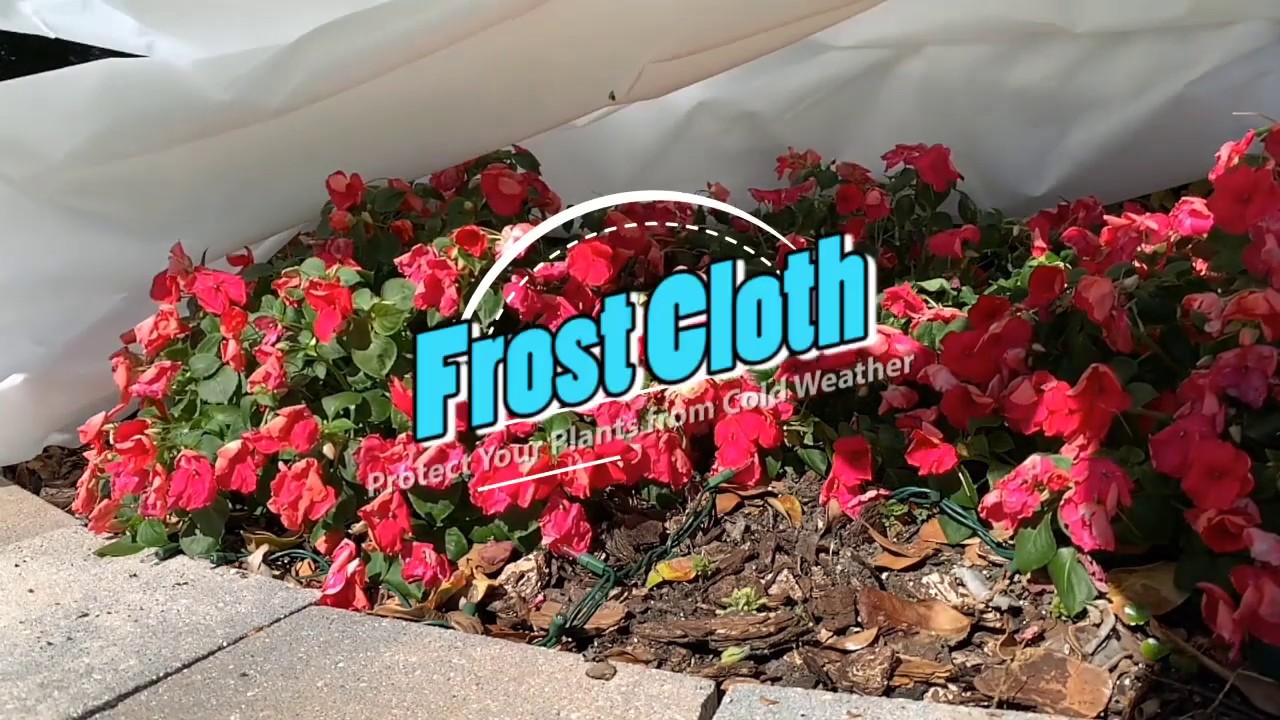DeWitt N-Sulate Frost Cloth Set up