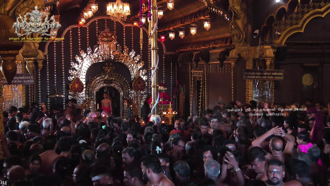 Nallur Sri Kandaswamy Devasthanam Kodiyettam 2025 Free Live Broadcast
