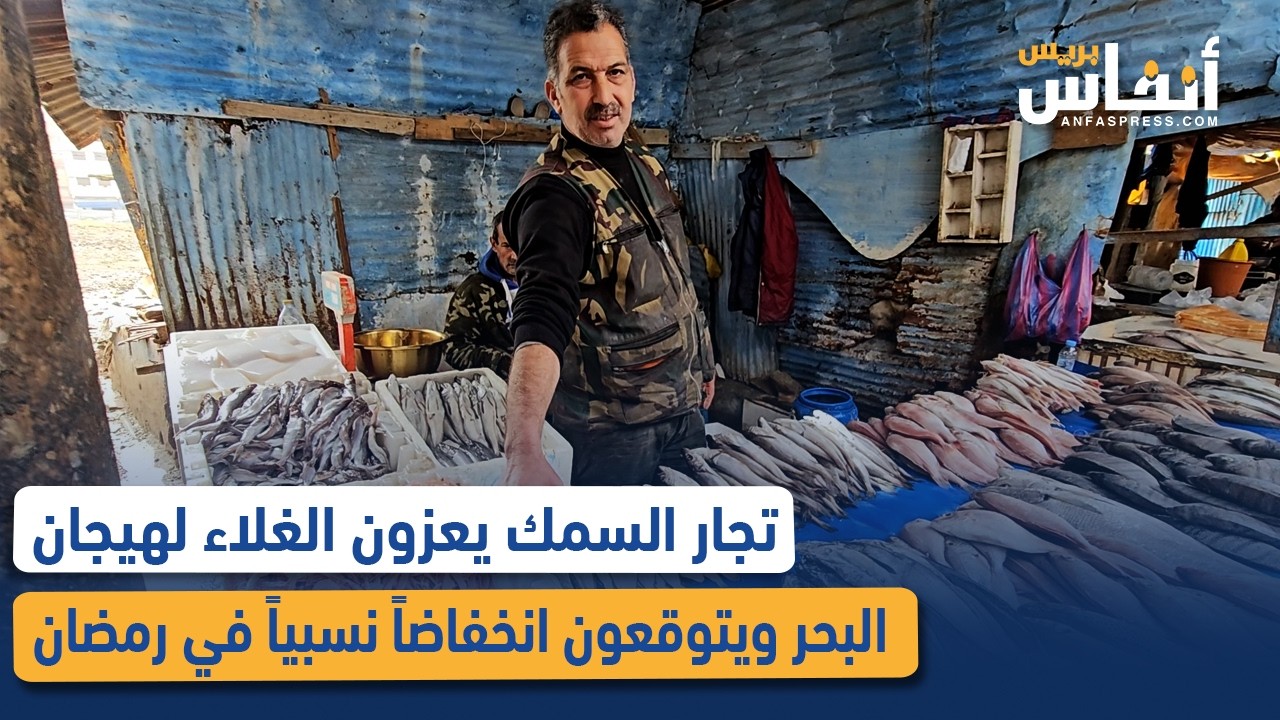 تجار السمك يعزون الغلاء لهيجان البحر ويتوقعون انخفاضاً نسبياً في رمضان