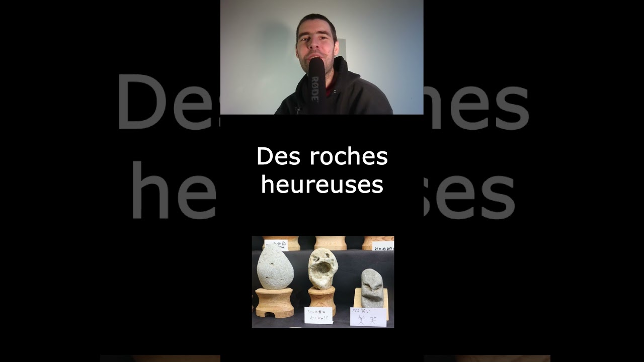 Let`s study French : Onomichi Museum Japan Le mus&eacute;e des roches au visage humain